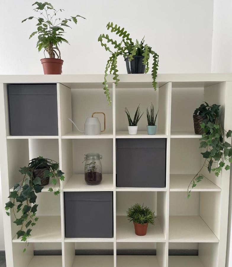 Ami House Roma Apartman Kültér fotó
